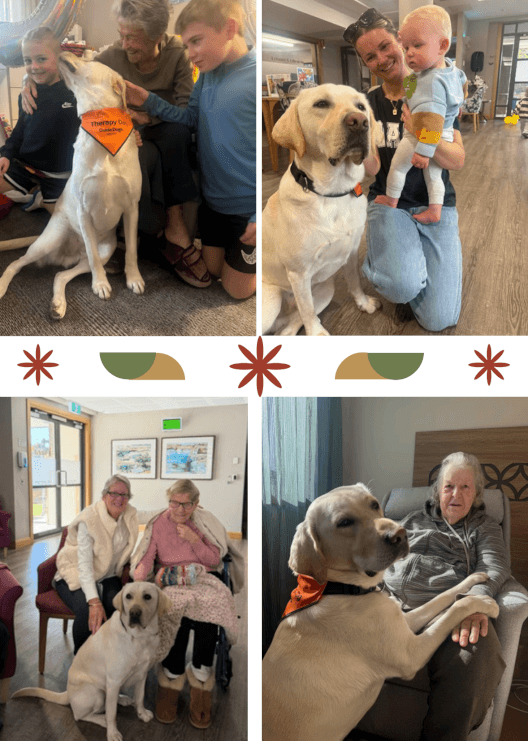 Mayfield Aged Care